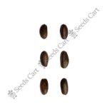 Annona muricata-Tree