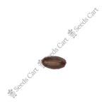 Annona muricata-Tree