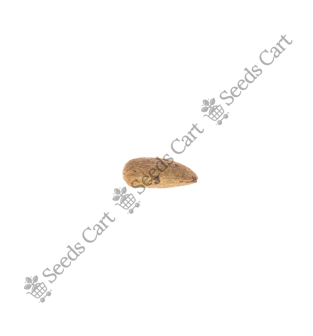 AZADIRACHTA_INDICA_FINAL