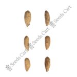 Azadirachta indica-Tree