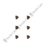 Jacaranda Mimosifolia-Tree