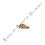 Pinus roxburghii-Tree