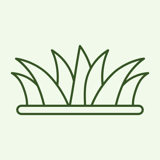 Grasses & Fodder Seeds
