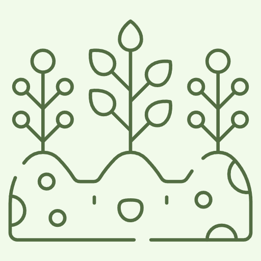 Cover Crops & Green Manuring Seeds