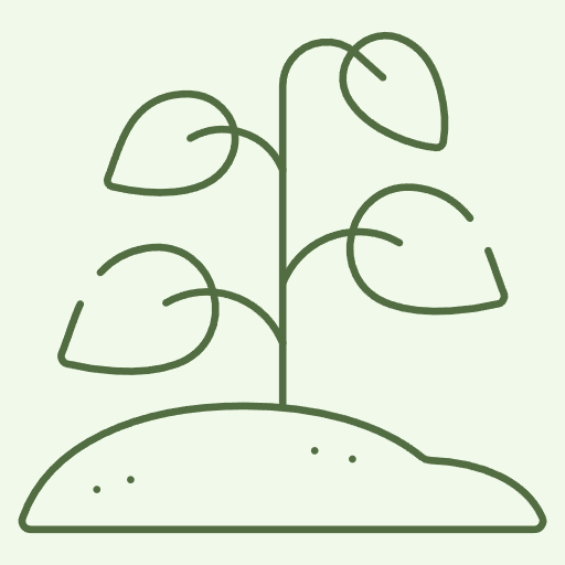 Multipurpose Tree Seeds