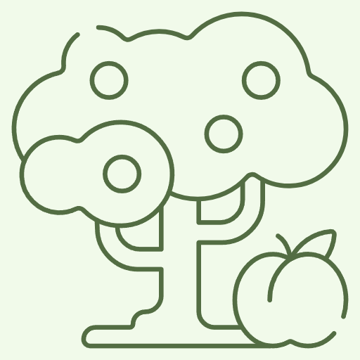 Forestry & Fruit Tree Seeds