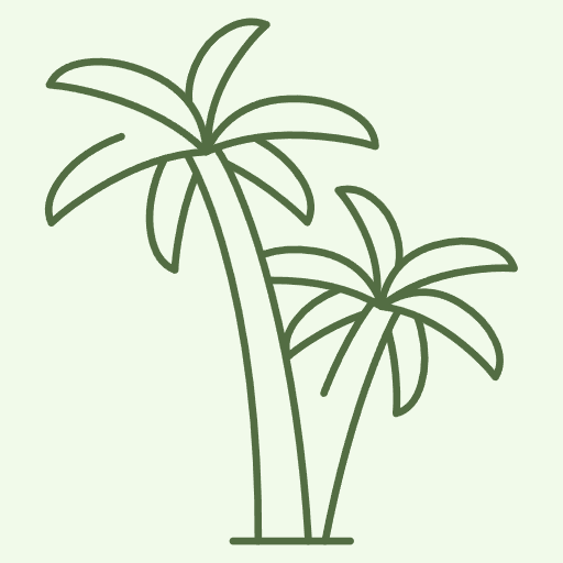 Palm Tree Seeds