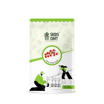 Cherry Tomato seeds