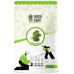 Spinach microgreen Planting Seeds | Non-GMO, Open Pollinated, Non-Hybrid | High Germination Palak Vegetable Seeds for Home Garden, Kitchen & Terrace (Aprox 500 Seeds)